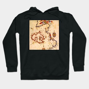 world map Hoodie